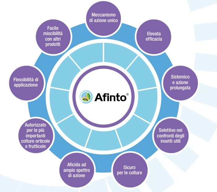 Afinto insetticida per afidi